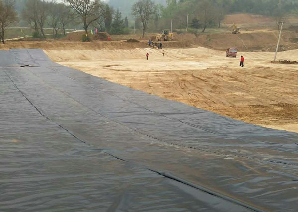 �˹������BĤ